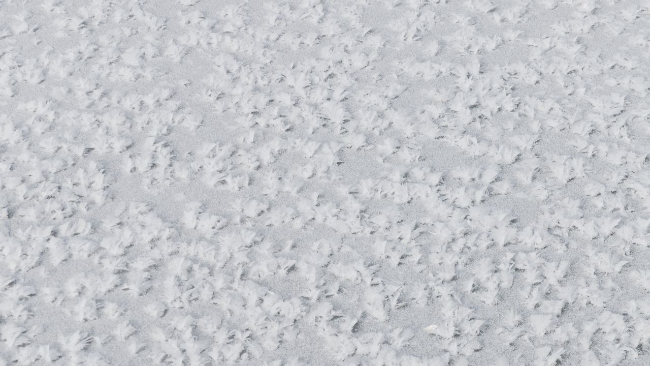 Обои снег, текстура, белый, поверхность