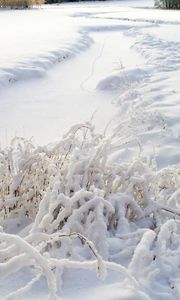 Превью обои снег, трава, зима, покров