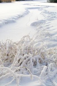 Превью обои снег, трава, зима, покров