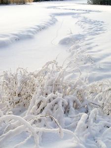 Превью обои снег, трава, зима, покров