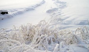 Превью обои снег, трава, зима, покров