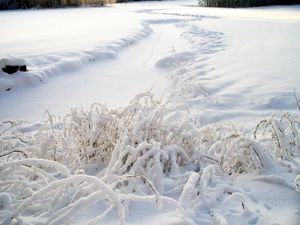 Превью обои снег, трава, зима, покров