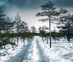 Превью обои снег, тропинка, деревья, лес, небо, зима