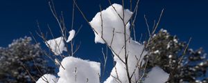 Превью обои снег, ветки, зима, деревья, небо, природа