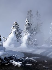 Превью обои снег, вода, туман, пар, ели, деревья, река