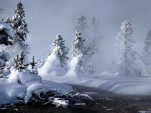 Превью обои снег, вода, туман, пар, ели, деревья, река