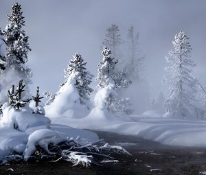 Превью обои снег, вода, туман, пар, ели, деревья, река