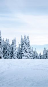 Превью обои снег, зима, деревья, зимний пейзаж, заснеженный