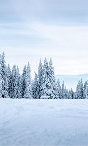 Превью обои снег, зима, деревья, зимний пейзаж, заснеженный