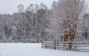 Превью обои снег, зима, деревья, лес, забор, пейзаж, белый