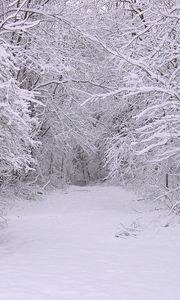 Превью обои снег, зима, деревья, лес