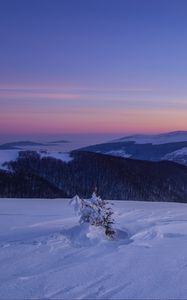 Превью обои снег, зима, куст, горы