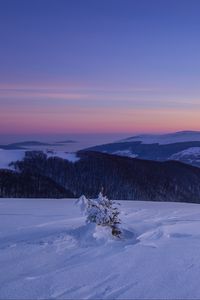 Превью обои снег, зима, куст, горы