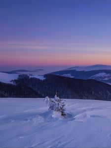 Превью обои снег, зима, куст, горы