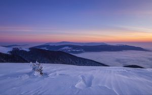 Превью обои снег, зима, куст, горы