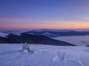 Превью обои снег, зима, куст, горы