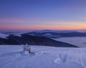 Превью обои снег, зима, куст, горы