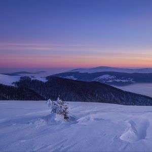 Превью обои снег, зима, куст, горы