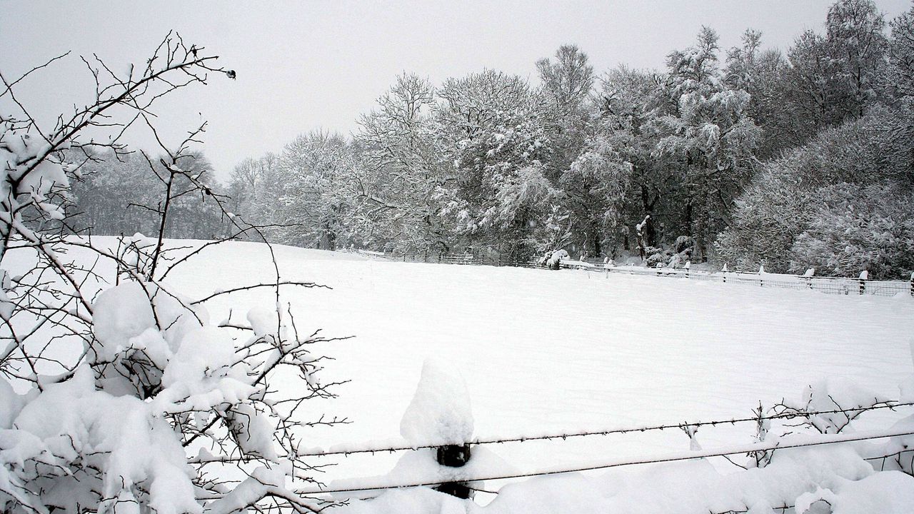 Обои снег, зима, парк, забор, деревья, сугробы