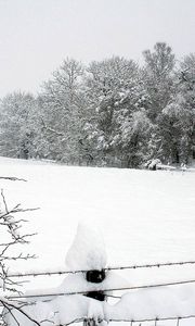 Превью обои снег, зима, парк, забор, деревья, сугробы