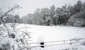 Превью обои снег, зима, парк, забор, деревья, сугробы