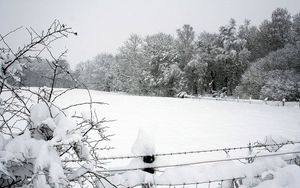 Превью обои снег, зима, парк, забор, деревья, сугробы