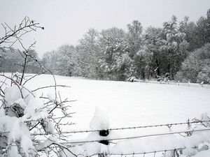 Превью обои снег, зима, парк, забор, деревья, сугробы