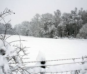Превью обои снег, зима, парк, забор, деревья, сугробы