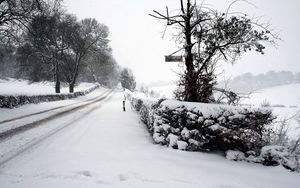 Превью обои снег, зима, парк, дорога, изгородь