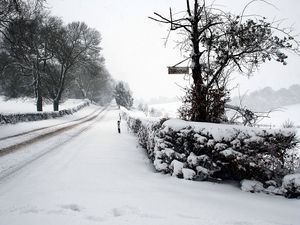 Превью обои снег, зима, парк, дорога, изгородь