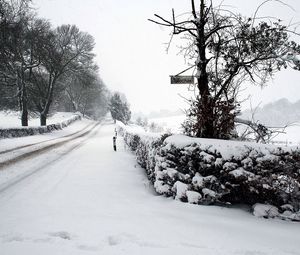 Превью обои снег, зима, парк, дорога, изгородь