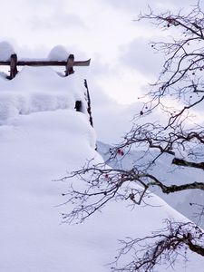 Превью обои снег, зима, ветки, дерево