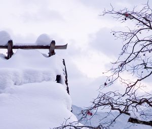 Превью обои снег, зима, ветки, дерево