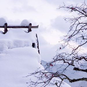 Превью обои снег, зима, ветки, дерево