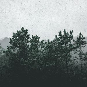 Превью обои снегопад, деревья, туман, заснеженный