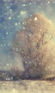 Превью обои снегопад, дерево, крупицы, поле, зима