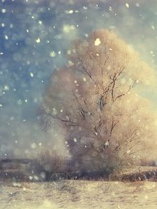 Превью обои снегопад, дерево, крупицы, поле, зима