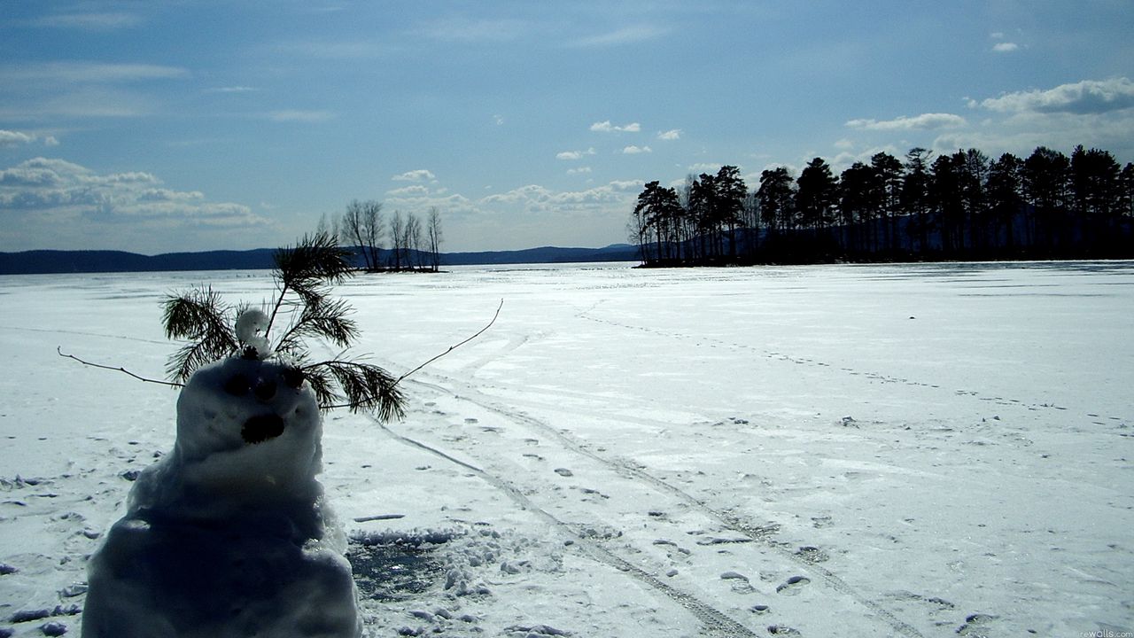 Обои снеговик, поле, следы, деревья