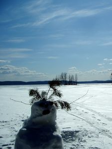 Превью обои снеговик, поле, следы, деревья