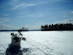 Превью обои снеговик, поле, следы, деревья