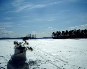 Превью обои снеговик, поле, следы, деревья