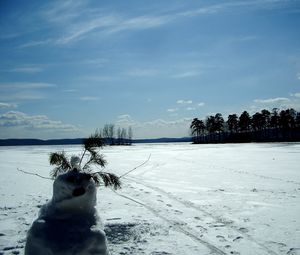 Превью обои снеговик, поле, следы, деревья