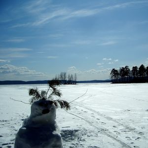 Превью обои снеговик, поле, следы, деревья