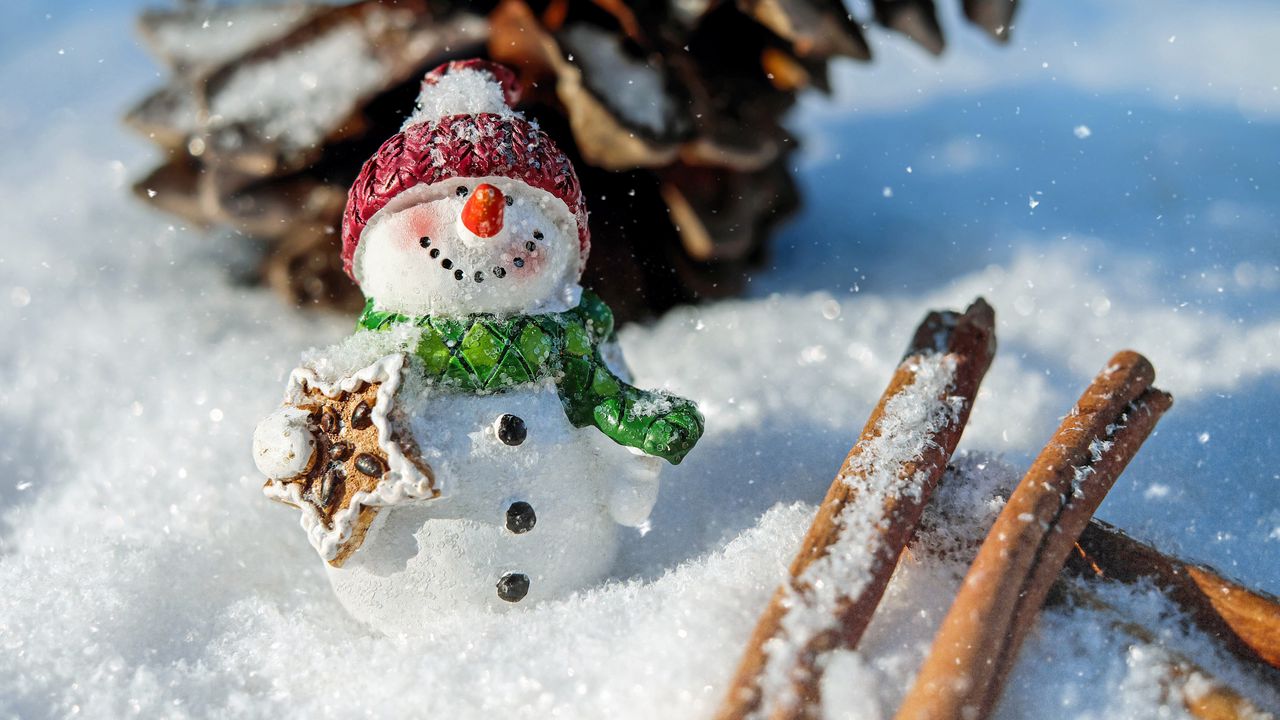 Обои снеговик, снег, корица, шишка, рождество, новый год