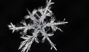 Превью обои снежинки, макро, лед, узор, кристалл
