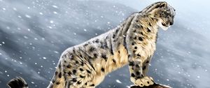 Превью обои снежный барс, большая кошка, хищник, взгляд, камни, арт