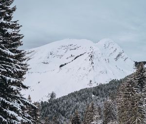 Превью обои снежный, горы, ель, снег, деревья