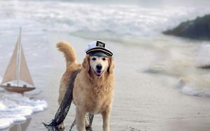 Превью обои собака, фуражка, сеть, море, корабль
