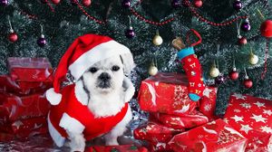 Превью обои собака, новый год, подарки, елка, украшения