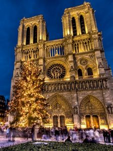 Превью обои собор парижской богоматери, нотр-дам-де-пари, париж, франция, площадь, новый год, елка, праздник